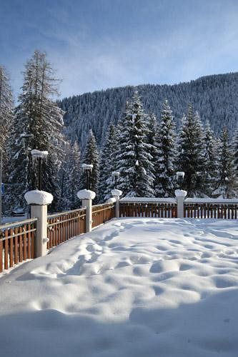 Pineta 3* Falcade